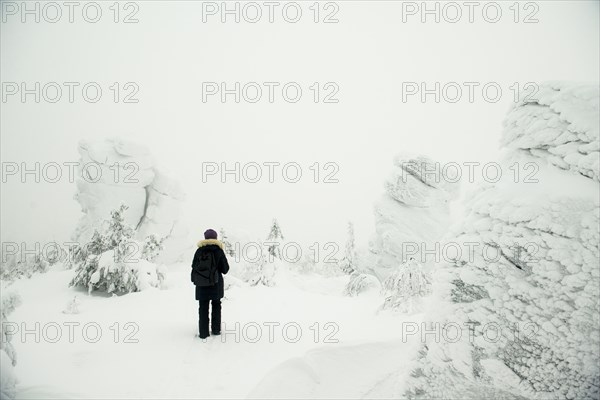 Hiker standing in snowy forest