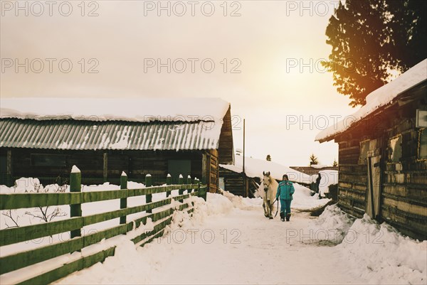 Farmer walking horse on snowy farm