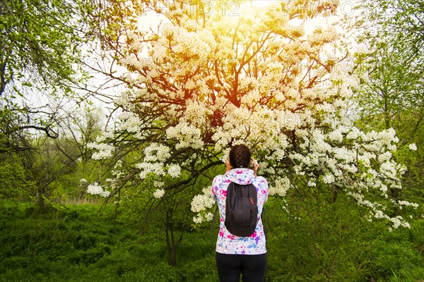 Caucasian woman smelling flowers on tree