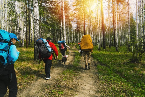 Caucasian friends backpacking with dog on forest path