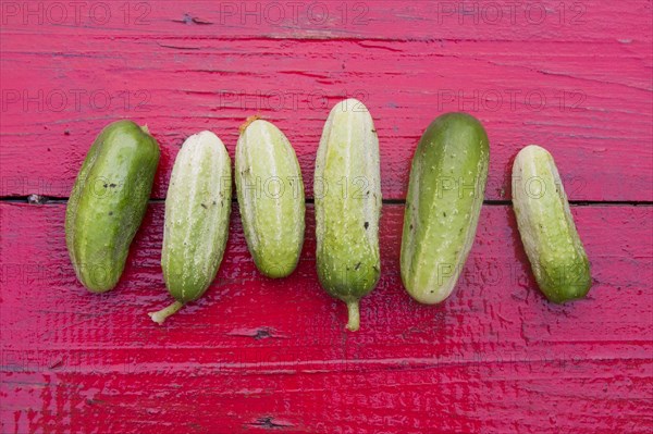 Close up of row of green cucumbers on red wooden table