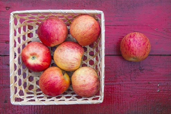 Close up of basket of red apples on red wooden table