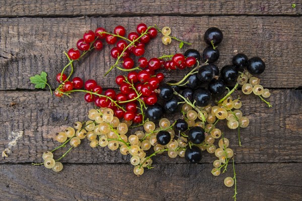 Fresh berries on wooden table