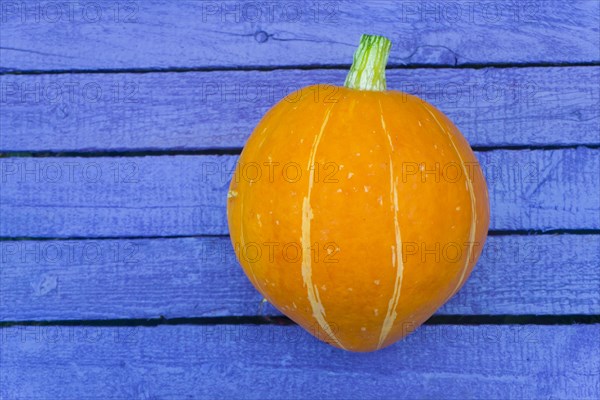 Pumpkin on purple wooden table