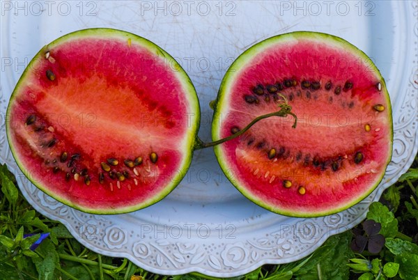 Watermelon slices on plate