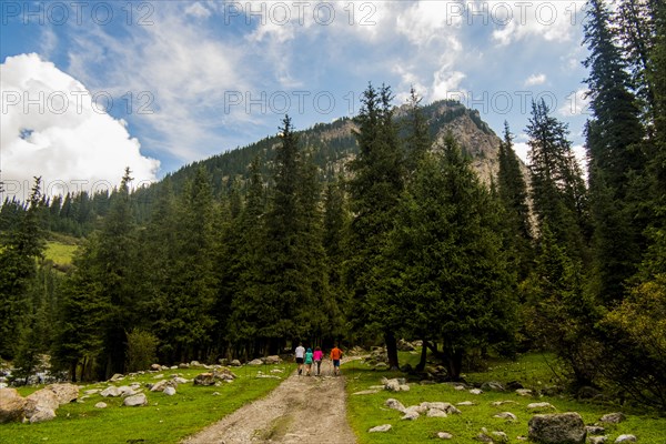 People hiking on path near mountain