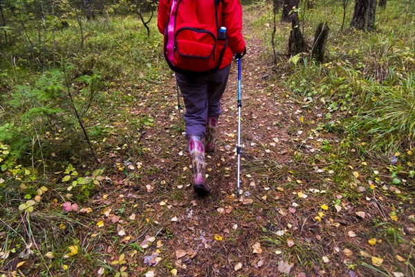 Rear view of woman hiking in woods