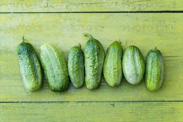 Green cucumbers in a row on wooden table