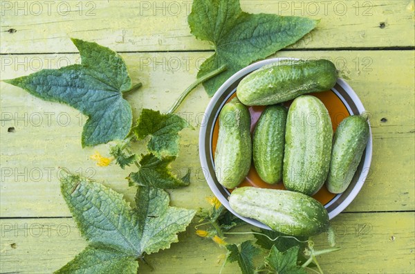 Green cucumbers and leaves on wooden table