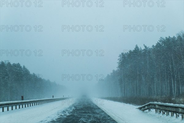 Wind on tree-lined winter road