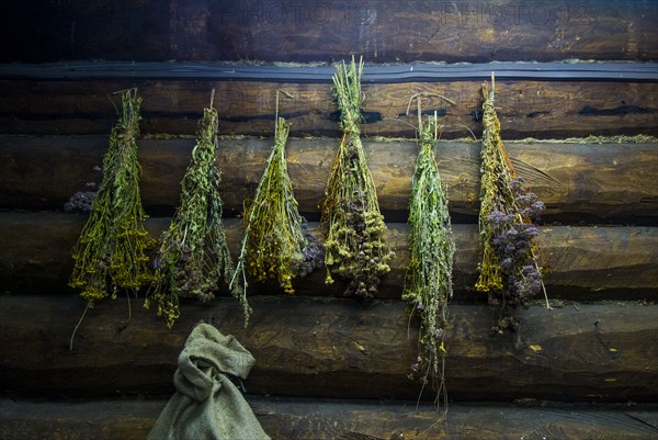 Green brooms hanging on log cabin wall