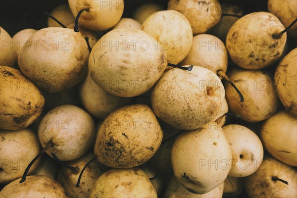 Pile of yellow pears