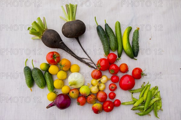 Variety of vegetables on table