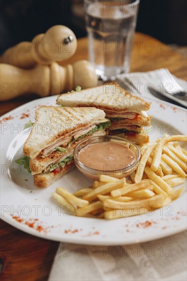 Sandwich with french fries on plate