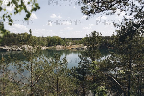 Scenic view of trees near lake