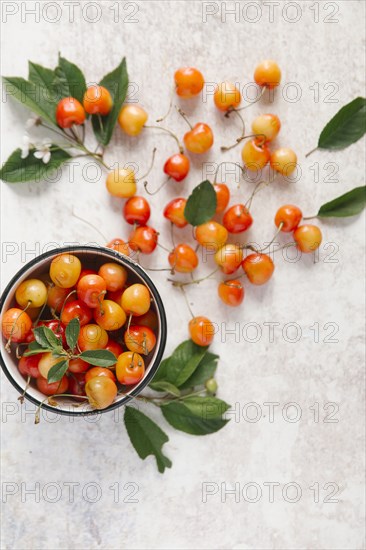 Cherries on white wooden table