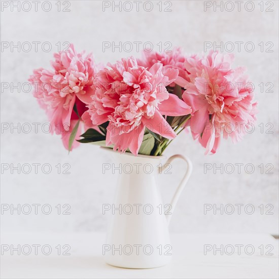 Pink flowers in vase