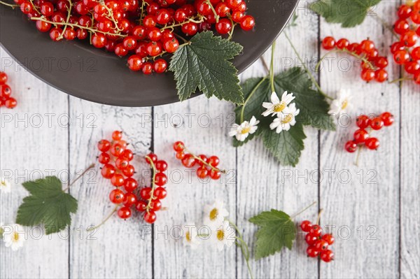 Red berries and leaves on table with flowers