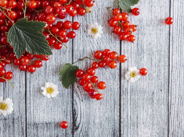 Red berries and leaves on table with flowers