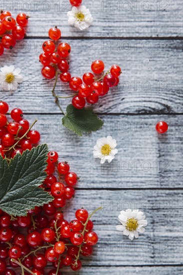 Red berries and leaves on table with flowers