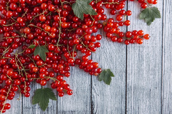Red berries and leaves on table