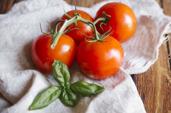 Tomatoes on vine with basil leaf