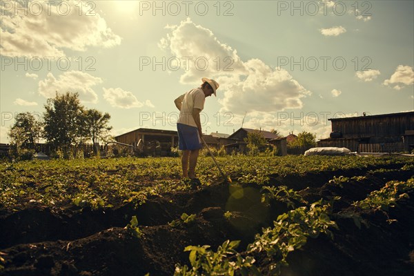 Farmer working in field