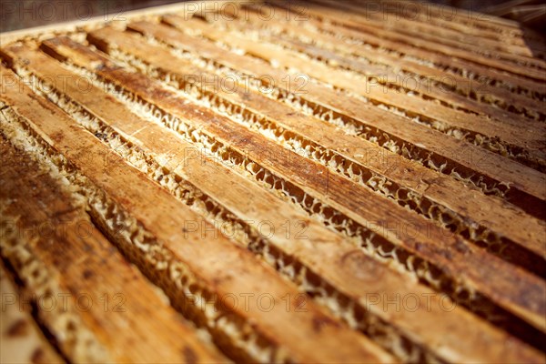 Close up of wooden bee hives
