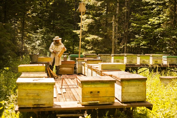 Caucasian beekeeper working outdoors