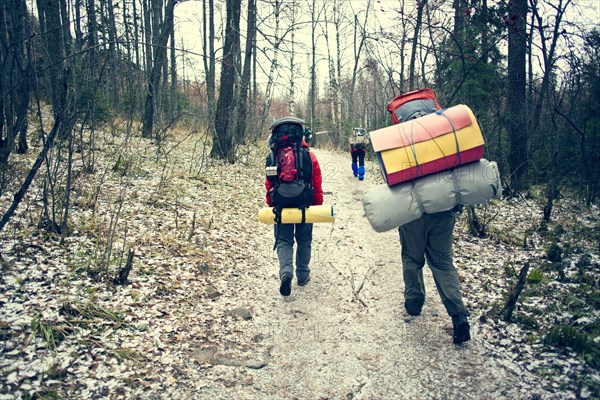 Backpackers walking in winter forest