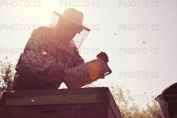 Mari beekeeper working with beehives outdoors