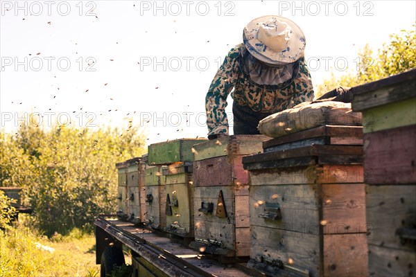 Mari beekeeper working with beehives outdoors