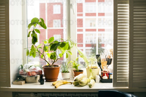 Potted plants and food on window sill