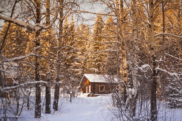 Log cabin in snowy forest