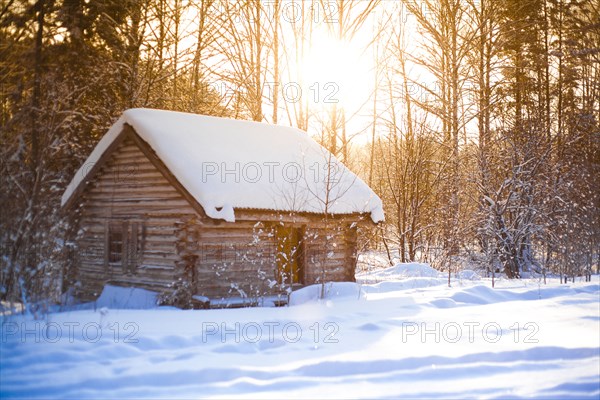 Log cabin in clearing in snowy forest