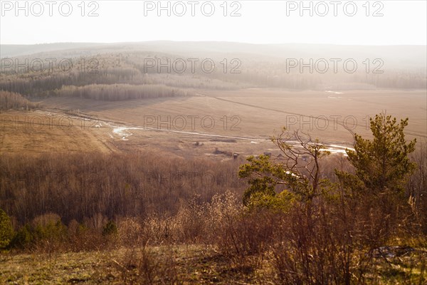 Rolling hills and fields in rural landscape