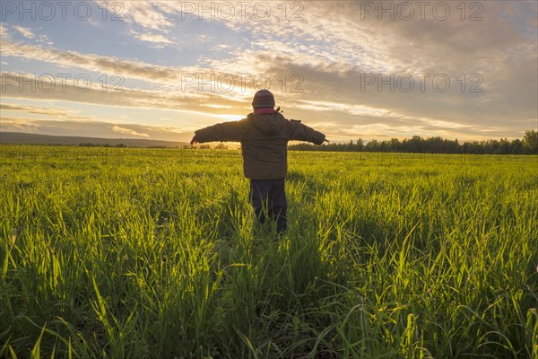 Mari boy admiring sunset in rural field