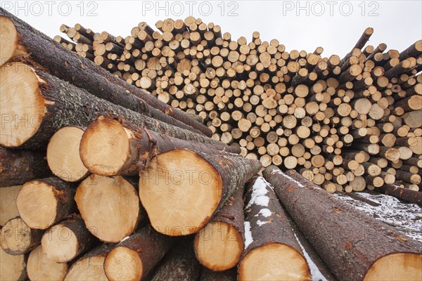 Close up of wooden log pile