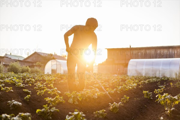 Mari farmer tending to crops in rural field