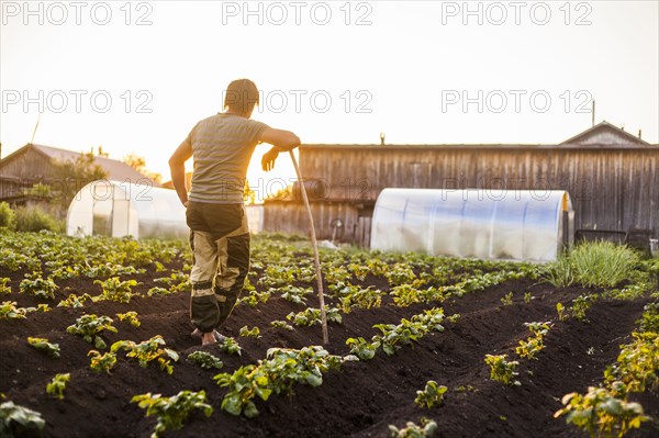 Mari farmer leaning on hoe in crop field