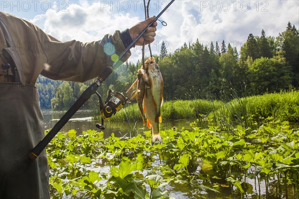 Mari fisherman holding caught fish at rural river