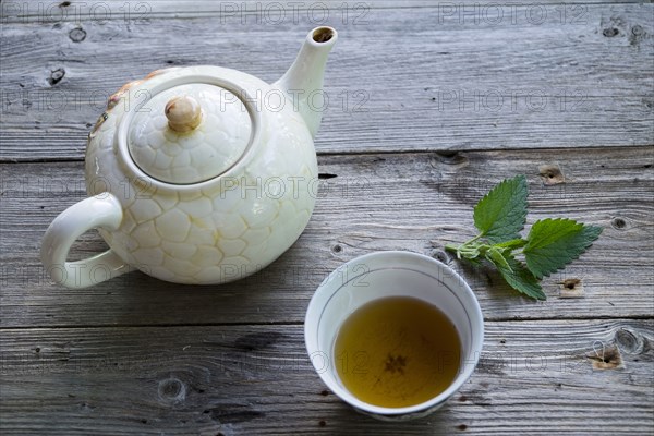 Cup of green tea with mint leaf and teapot