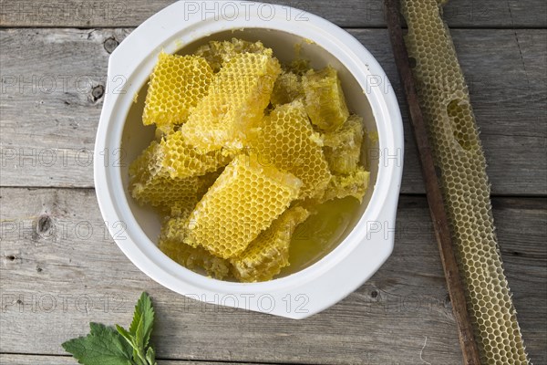 Honeycombs in pot of water on wooden table