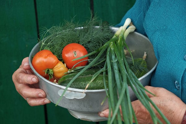 Caucasian woman holding bowl of fresh vegetables
