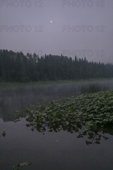 Moon over foggy river