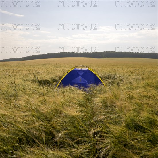 Blue camping tent in field of tall grass