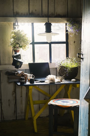 Laptop and plants near rustic window