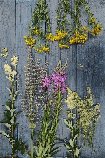 Multicolor flowers laying on wooden table