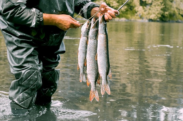 Fisherman holding fish