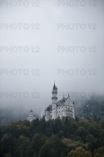 Fog over castle and trees